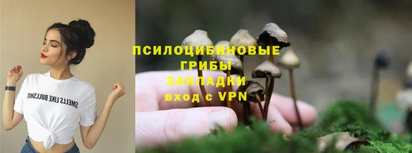тгк Армянск