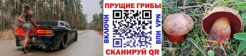 Галлюциногенные грибы MAGIC MUSHROOMS  omg tor  Талдом 